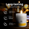 Soy Wax Candle in Glass Jar Island Nectar Clean Burn up to 80 Hours Handmade in USA Natural and Safe by Relaxcation 10 oz - RELAXCATION
