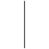 Wall Mirror Black 15.7"x31.5" Rectangle Iron - Black