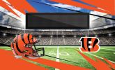 [Personalization Only] Official NFL Bengals - 36" x 62" Personalized Washable Rug - Personalization Only