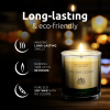 Soy Wax Candle in Glass Jar Fresh Cedar Balsam Clean Burn up to 80 Hours Handmade in USA Natural and Safe by Relaxcation 10 oz - RELAXCATION